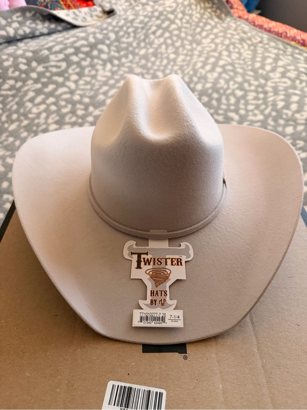 Twister wool felt  western hat in light gray-beige, silver belly